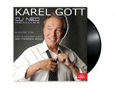 Karel Gott vs. DJ Neo Remixes (EP)